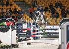 Philippaerts O_Zilvestar_Verona2014_SS7_5270.jpg : FIERA CAVALLI 2014, Philippaerts Olivier, ZILVERSTAR VDL, foto di Stefano Secchi @